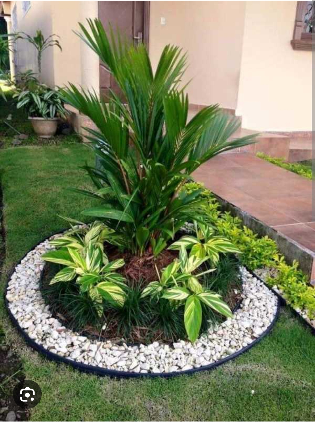 Vítor M - Maia - Tree Trimming and Maintenance