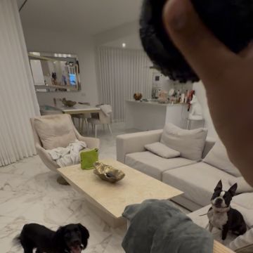 Catxorro Petsitting - Loulé - Cuidados para Animais de Estimação