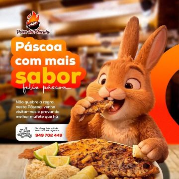 Daludi Marketing Digital - Soluções para Negócios - Santarém - Videoübertragung
