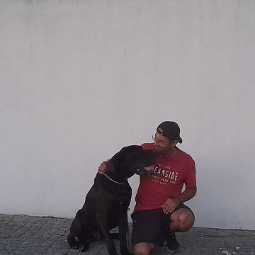 Simão Castro - Vizela - Treino de Animais