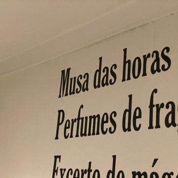 Nasser - Póvoa de Varzim - Poda y mantenimiento de árboles