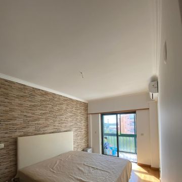Telmo Paiva - Sintra - Remoção de Arbustos