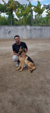 Simão Castro - Vizela - Dog Sitting