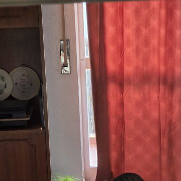 Cristina Mourão - Leiria - Hundeausführung