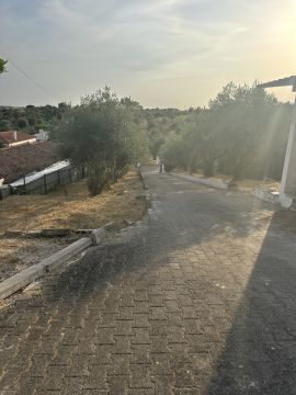 Serviço de Jardinagem