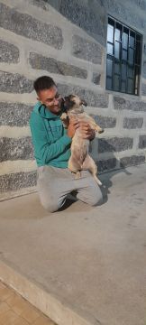 Simão Castro - Vizela - Creche para Cães
