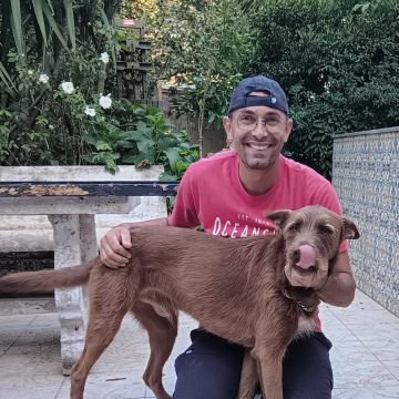 Simão Castro - Vizela - Modificação de Comportamento Animal