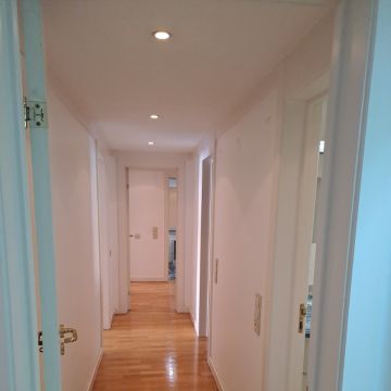 Só green lda - Lisboa - Limpeza da Casa (Recorrente)