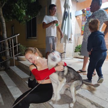 Yana Voichyshena - Batalha - Cat Sitting
