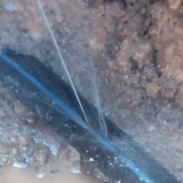 canalizador alexandre ferreira - Benavente - Outdoor Plumbing Repair or Maintenance