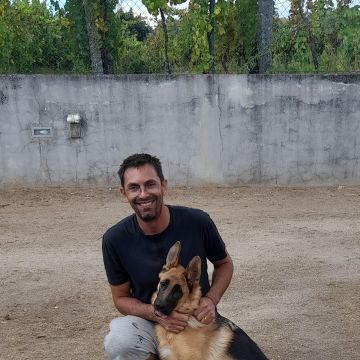 Simão Castro - Vizela - Pet Sitting e Pet Walking