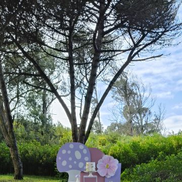 Tututi Eventos - Coimbra - Organização de Festa de Chá Revelação