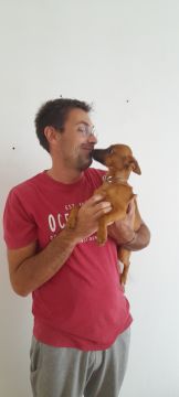 Simão Castro - Vizela - Treino Animal e Modificação Comportamental (Não-canino)
