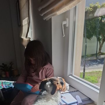 Petslover - Almada - Services pour animaux de compagnie