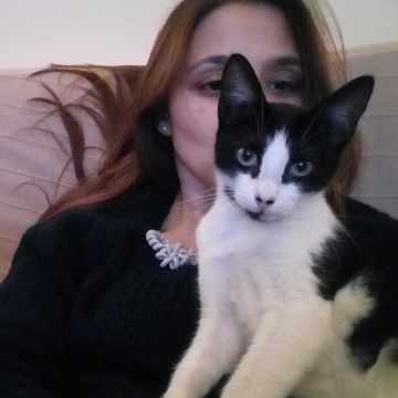 Joana - Vila Franca de Xira - Hotel e Creche para Animais