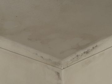 Pintura