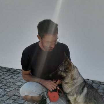 Simão Castro - Vizela - Hotel e Creche para Animais