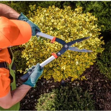 Vítor M - Maia - Outdoor Plumbing Repair or Maintenance