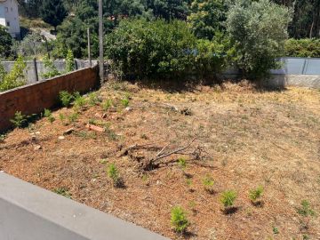 Jardinagem