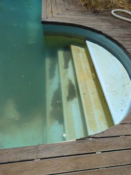 Limpeza ou Manutenção de Piscina