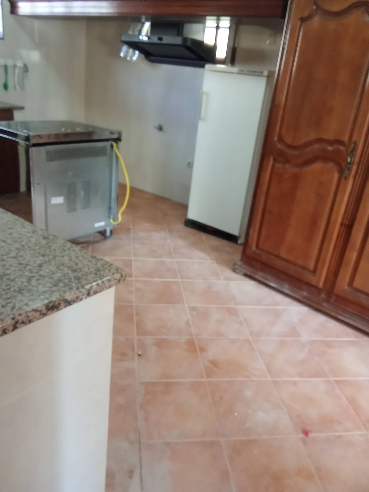 Cláudia Cristina - Lousada - Empleada Doméstica