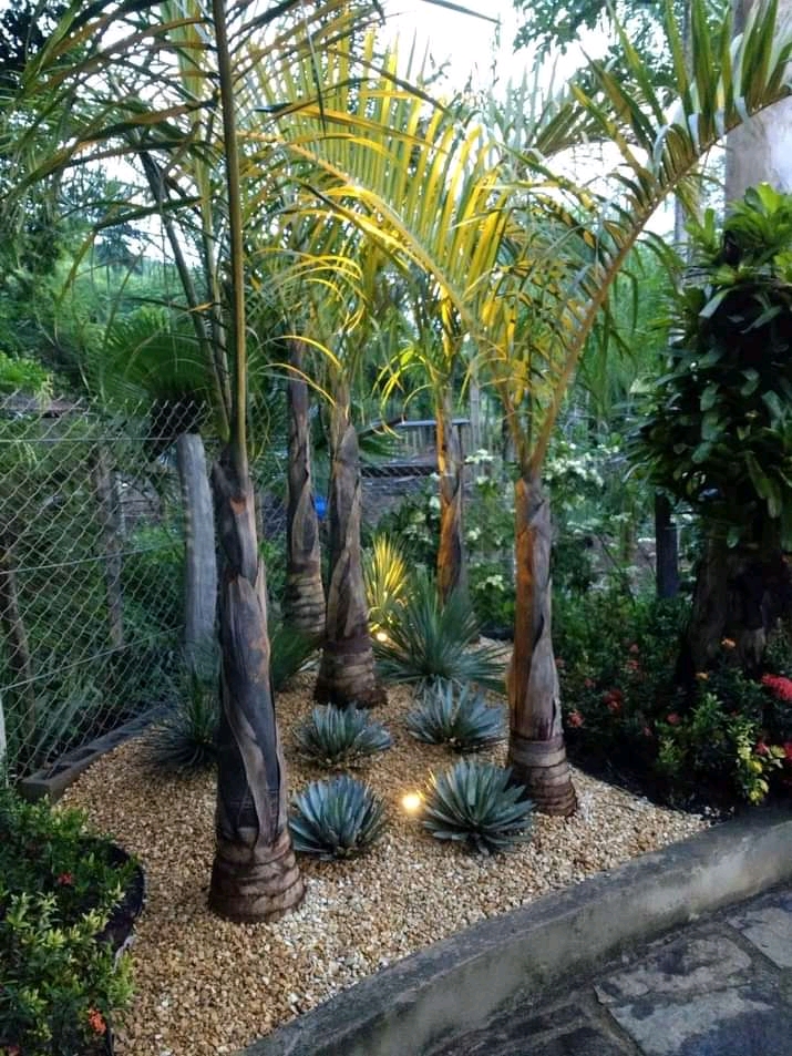Paisagismo florentius - Braga - Greenhouse Services