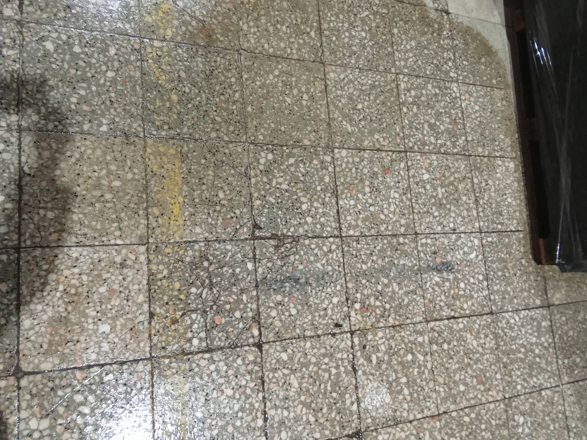 Cláudia Cristina - Lousada - Limpieza de tapicerias y muebles