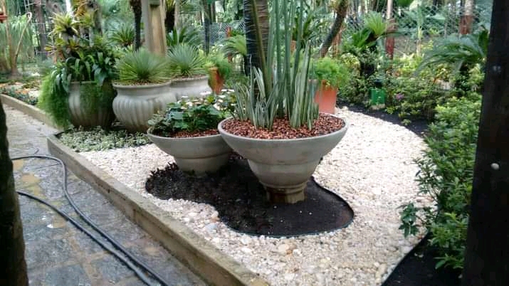 Paisagismo florentius - Braga - Sprinkler System Installation
