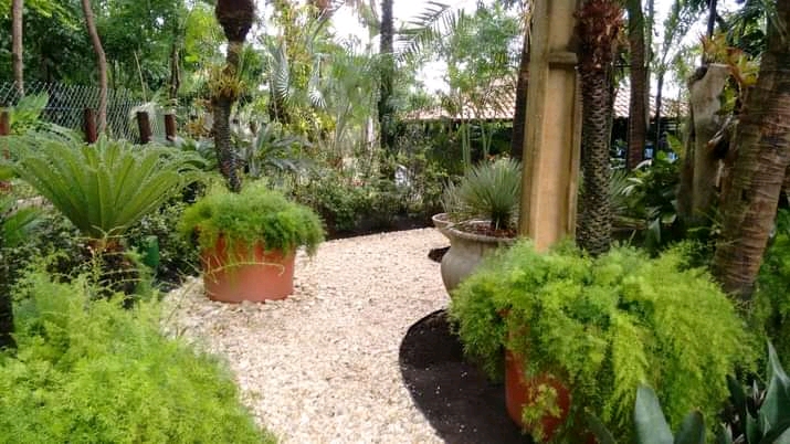 Paisagismo florentius - Braga - Land Leveling and Grading - Large Scale (more than 1 acre)