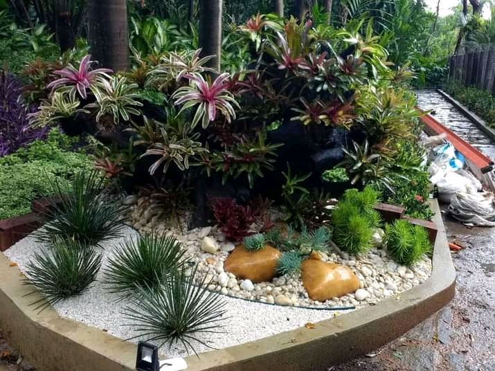 Paisagismo florentius - Braga - Drip Irrigation System Installation