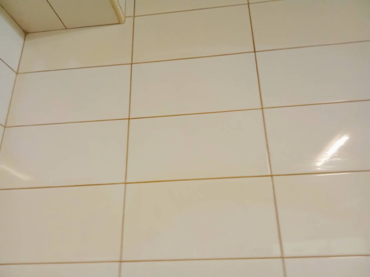 Cláudia Cristina - Lousada - Limpieza de cortinas