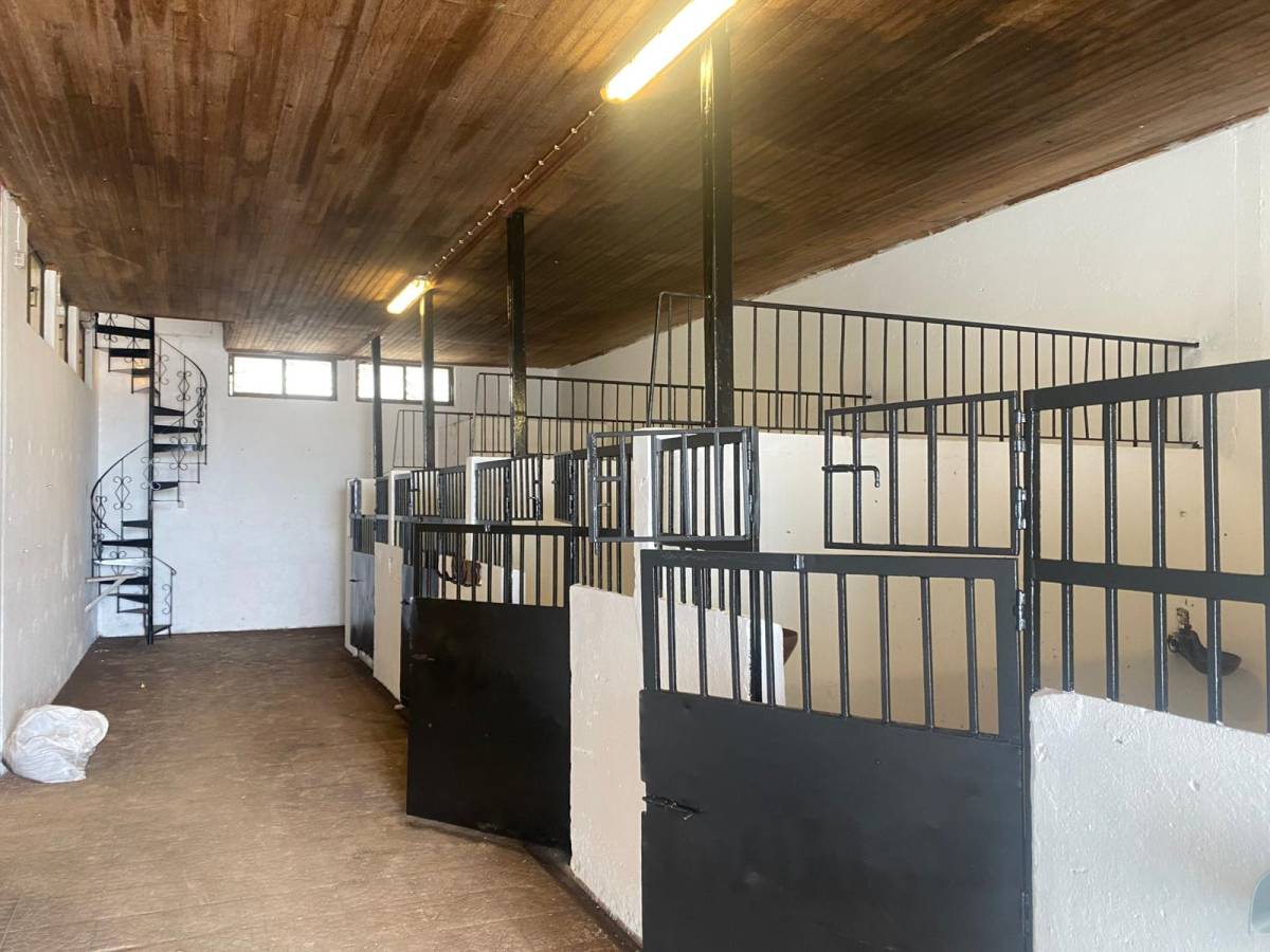 Sonho Padronizado Lda - Torres Vedras - Remodelação de Armários