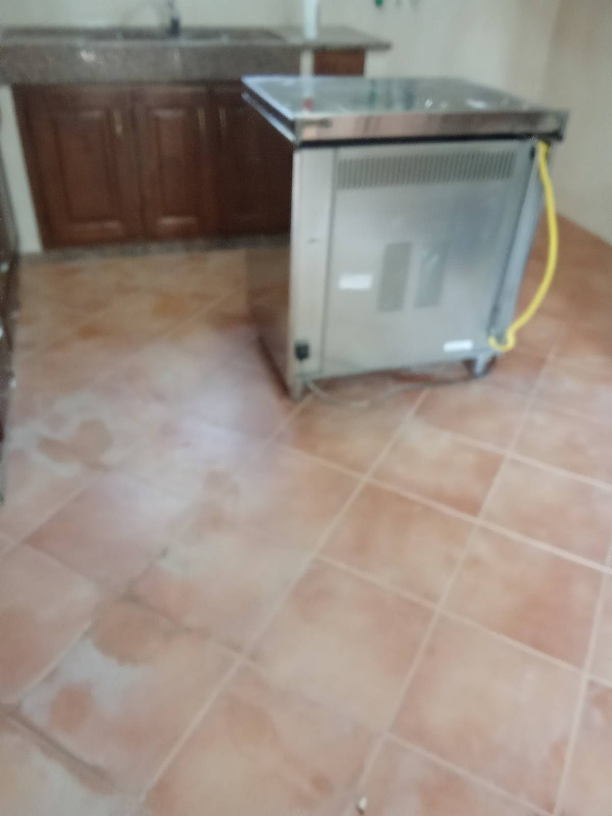 Cláudia Cristina - Lousada - Empresas de Desinfección