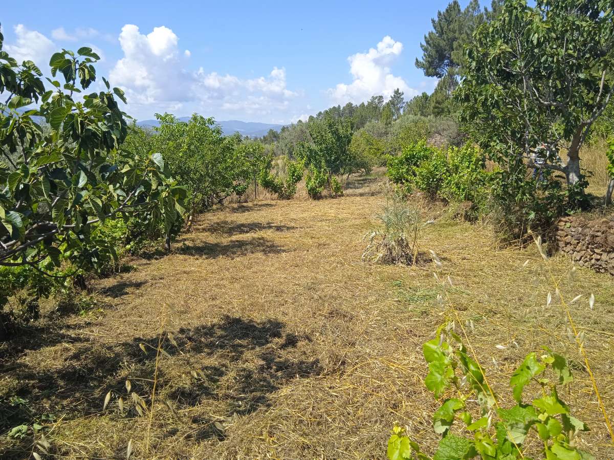 Serviços de limpezas Passa Aqui - Covilhã - Limpeza de Colchão