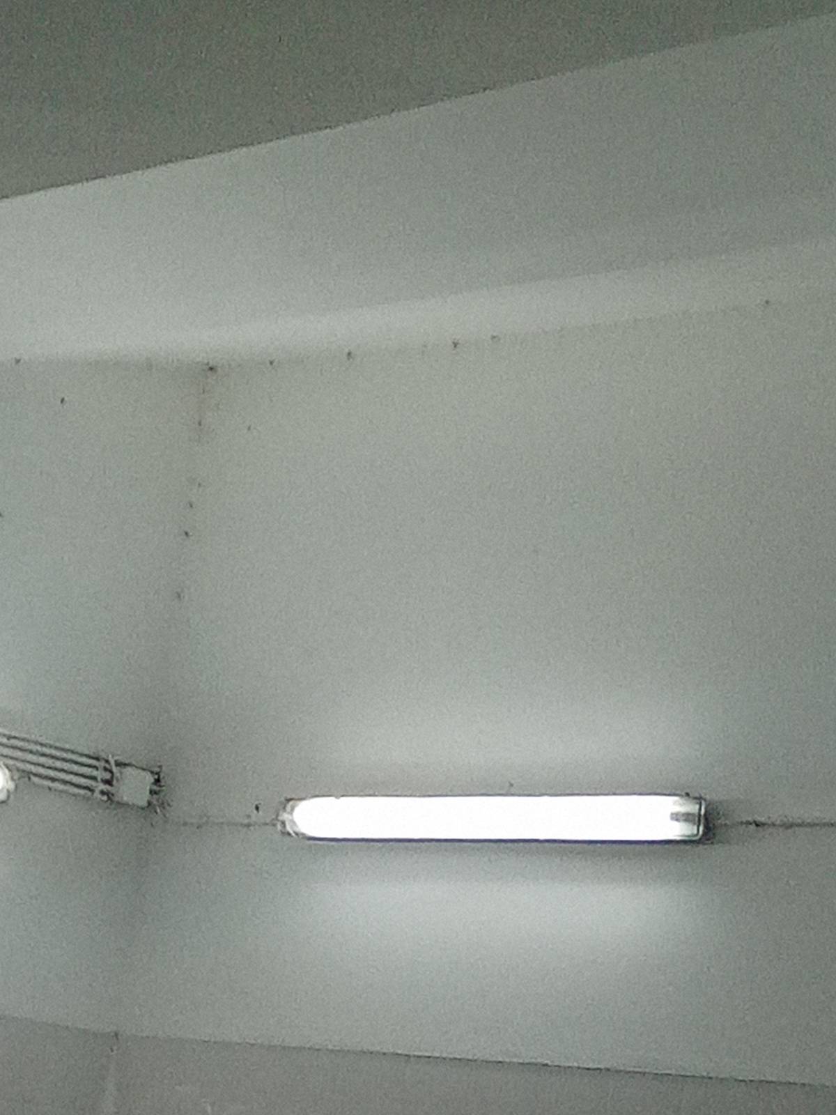 Cláudia Cristina - Lousada - Limpieza de ventanas