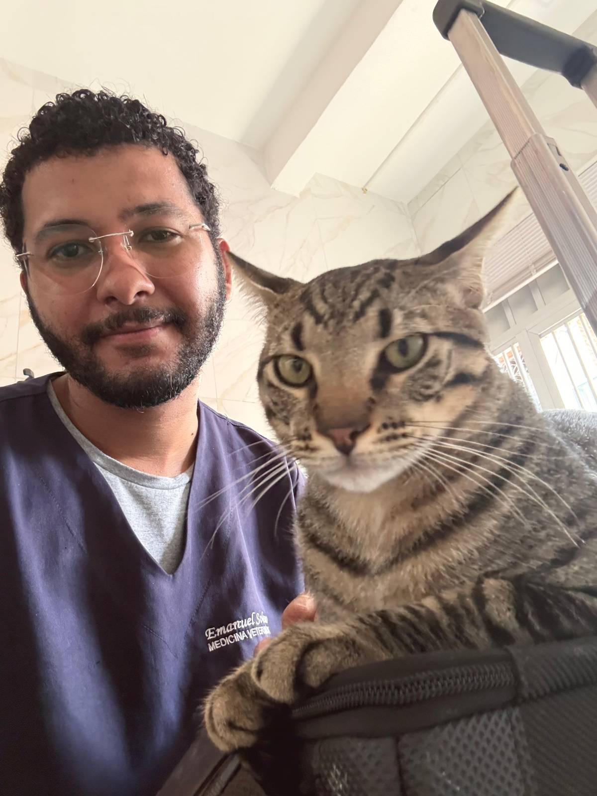 Solano - Matosinhos - Cuidado y peluquería para mascotas