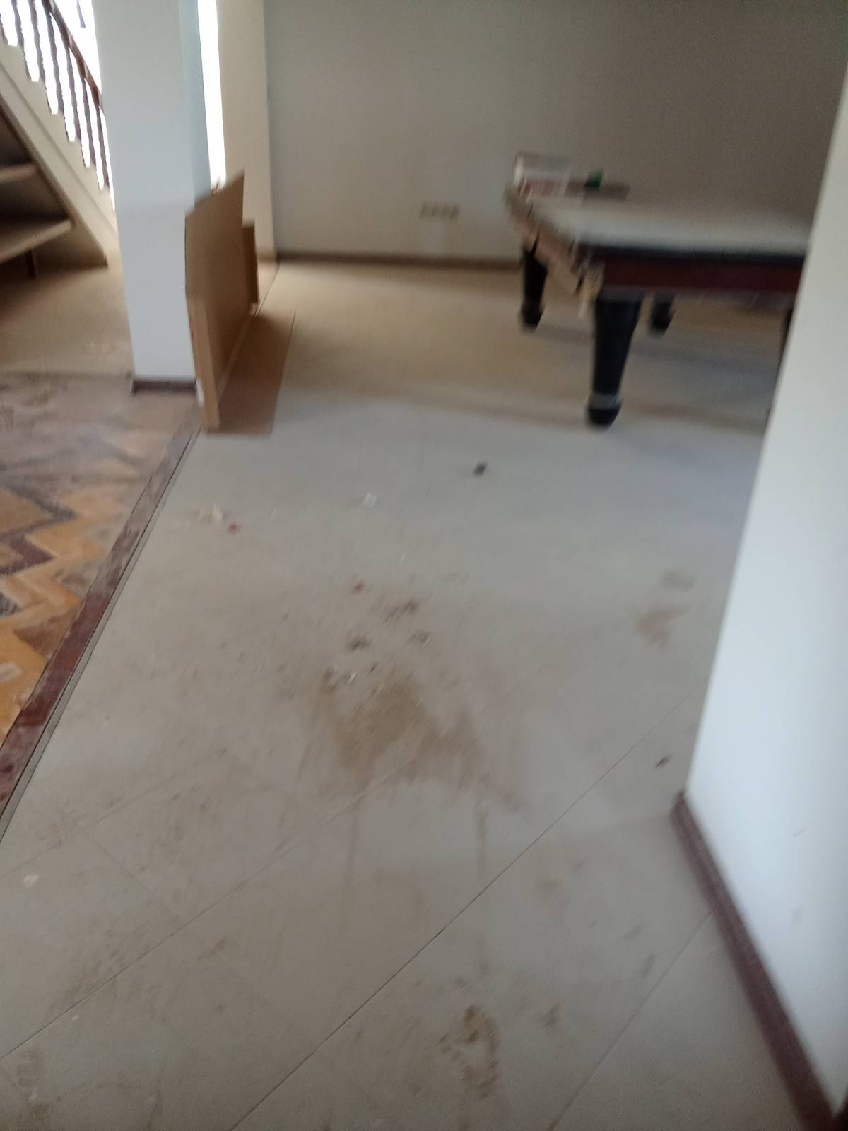 Cláudia Cristina - Lousada - Limpieza de colchones