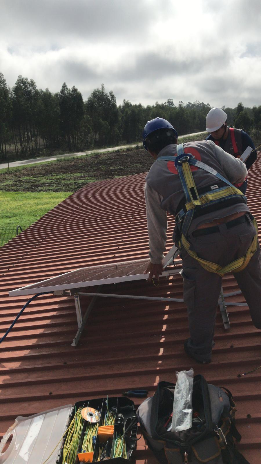 Felix Solutions - Portimão - Instalación de la puertas para mascotas