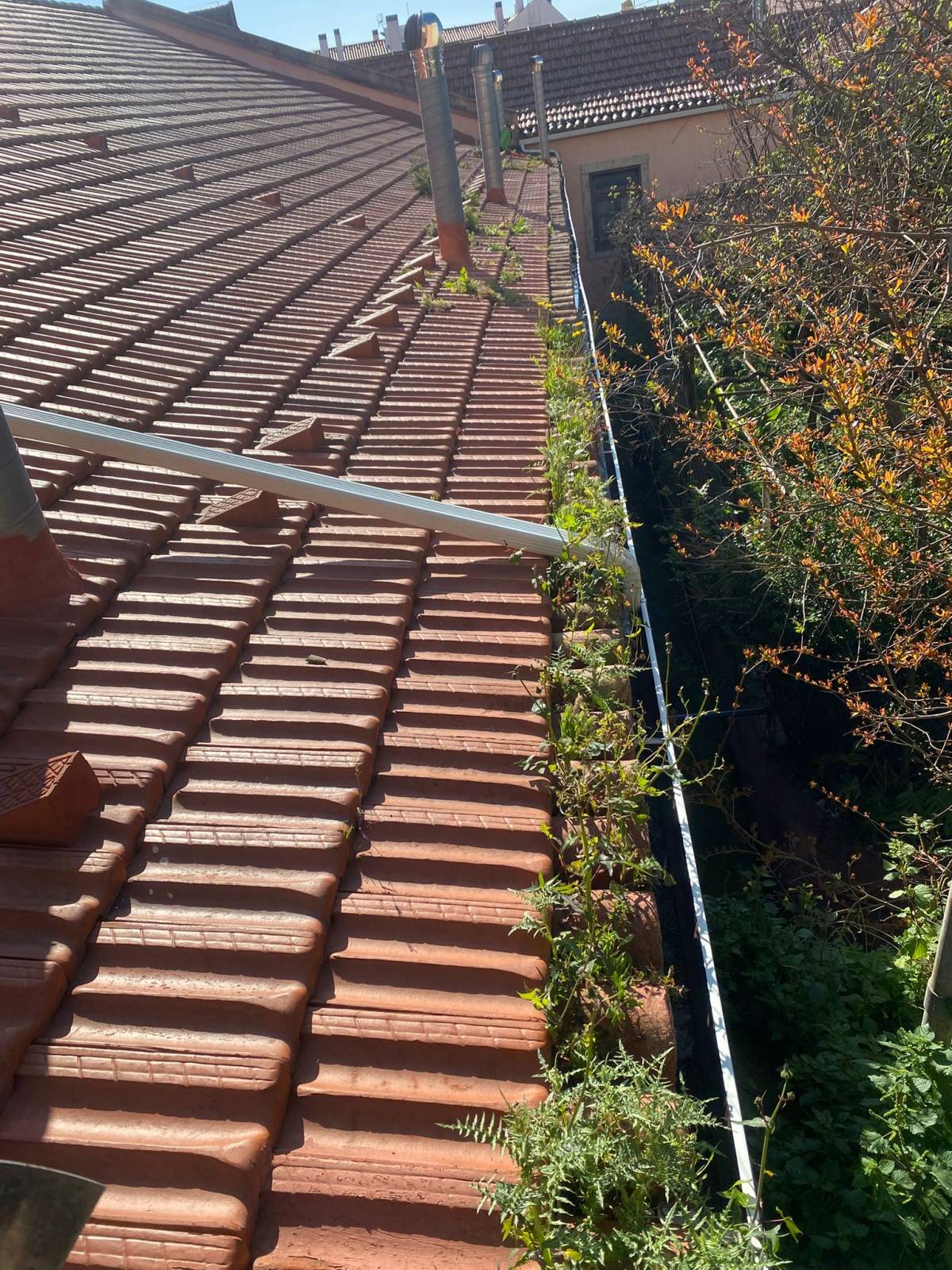 Sonho Padronizado Lda - Torres Vedras - Remodelação de Cozinhas