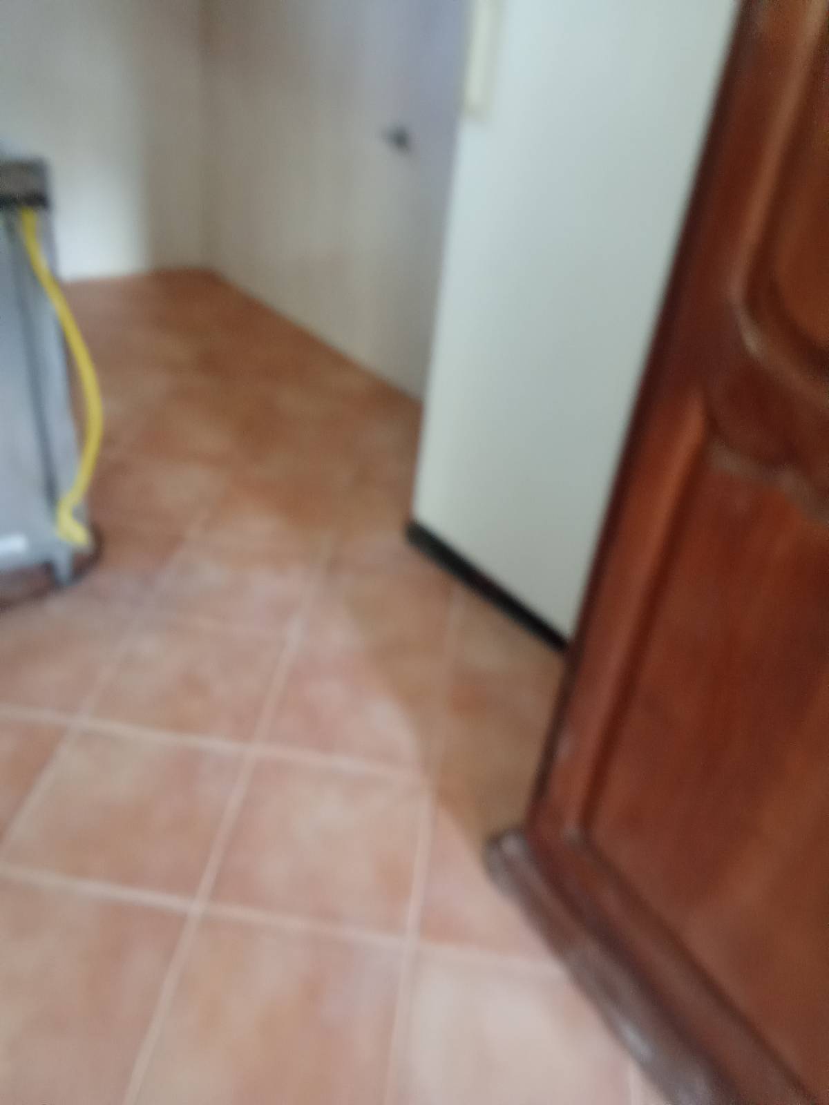 Cláudia Cristina - Lousada - Trabajo Domestico