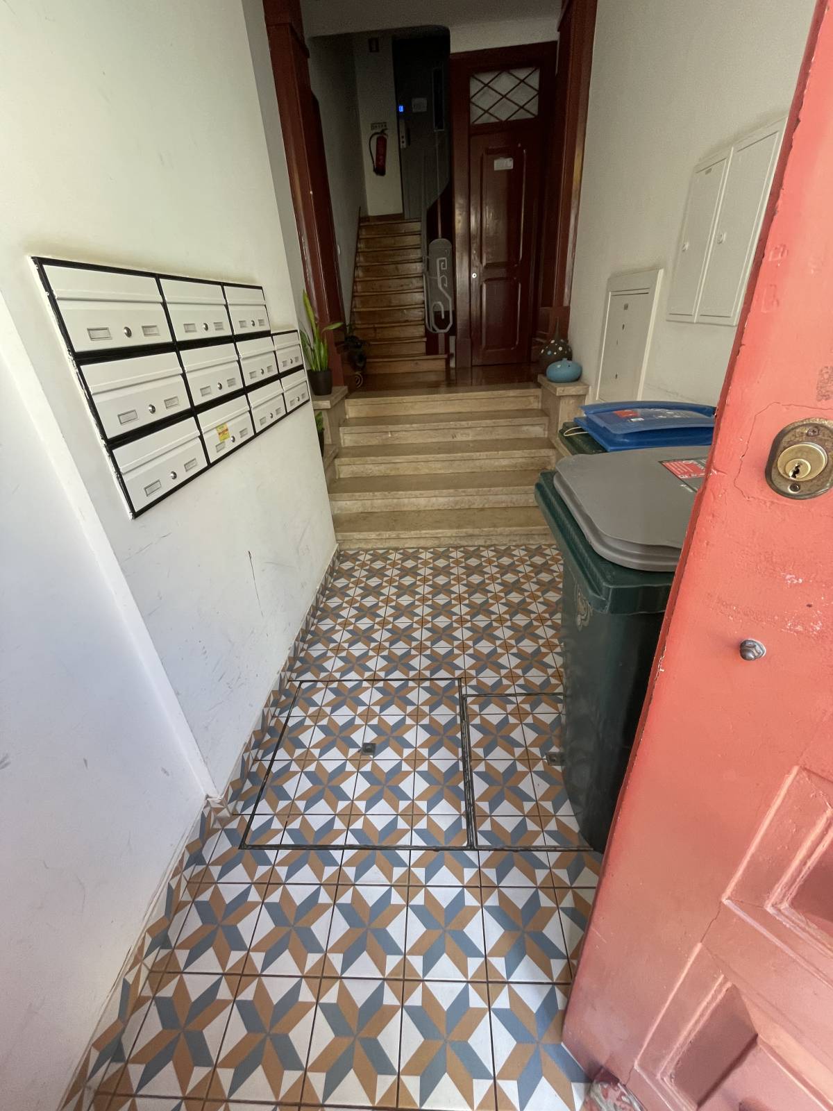Leandro - Lisboa - Commercial Cleaning