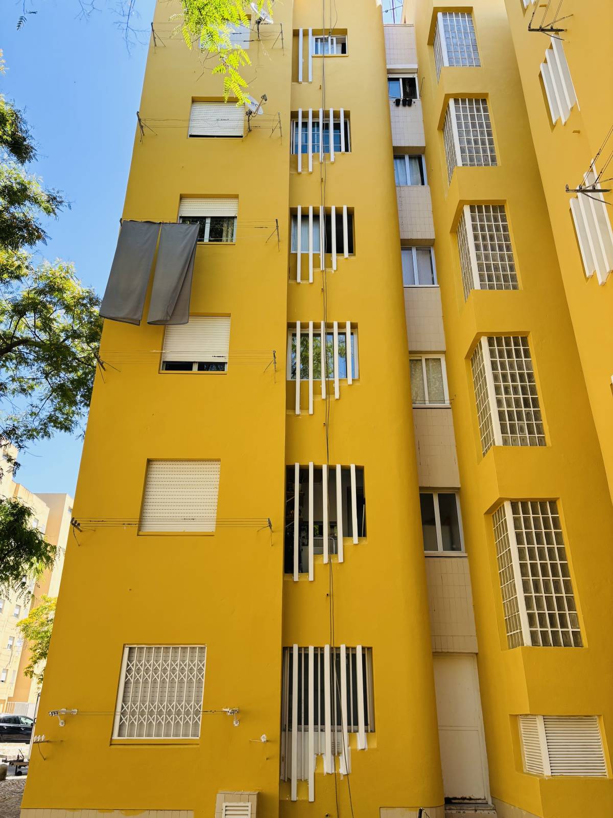 Vertical pro - Amadora - Pintura