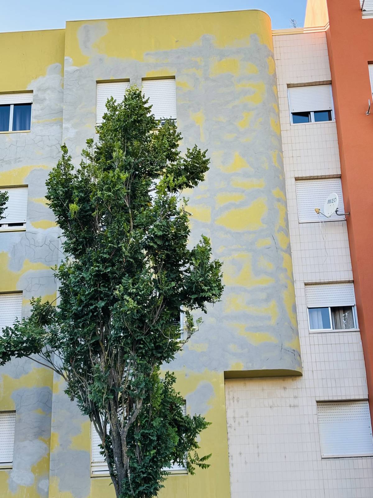 Vertical pro - Amadora - Techos