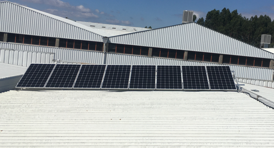 Flávio José Alves Unip. LDA - Vila Nova de Famalicão - Limpeza ou Inspeção de Painel Solar