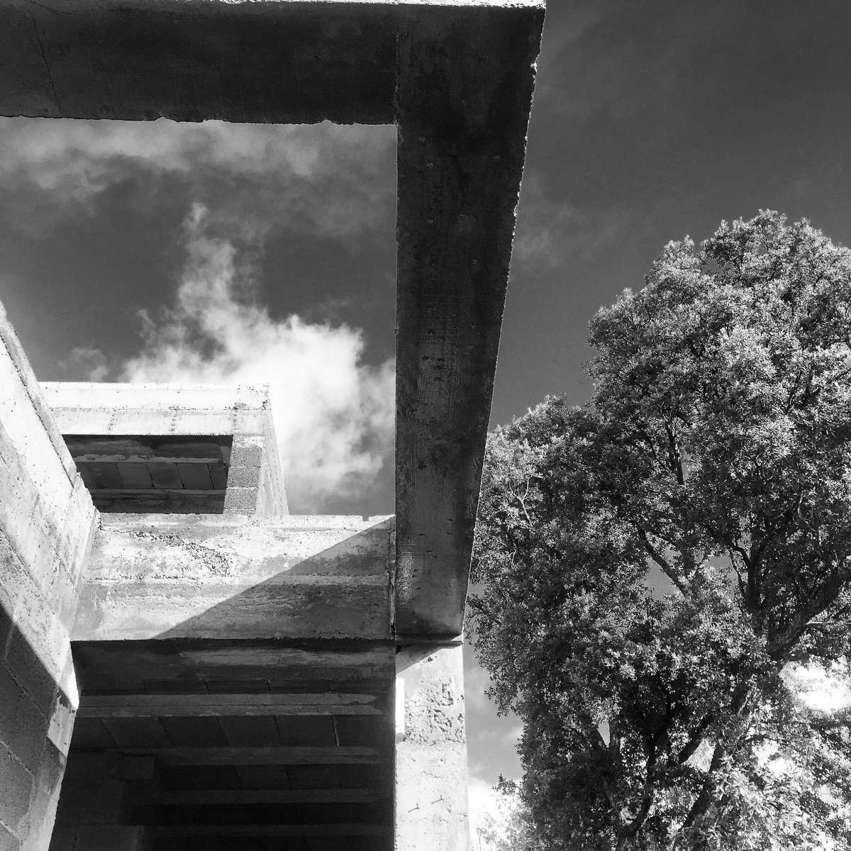 Arquiteto_Fábio Costa Pereira - Barcelos - Arquiteto
