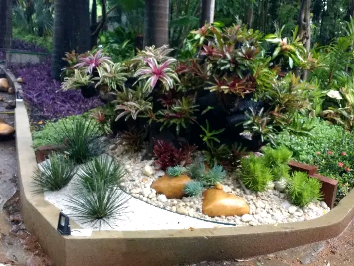 Paisagismo florentius - Braga - Tree Stump Grinding and Removal
