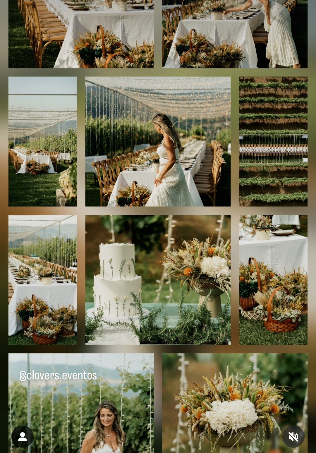Clovers - Paredes - Florista para Eventos