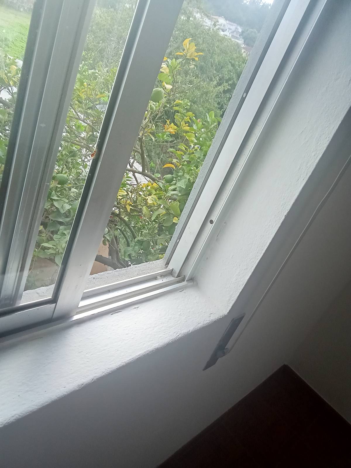 Cláudia Cristina - Lousada - Limpieza de ventanas