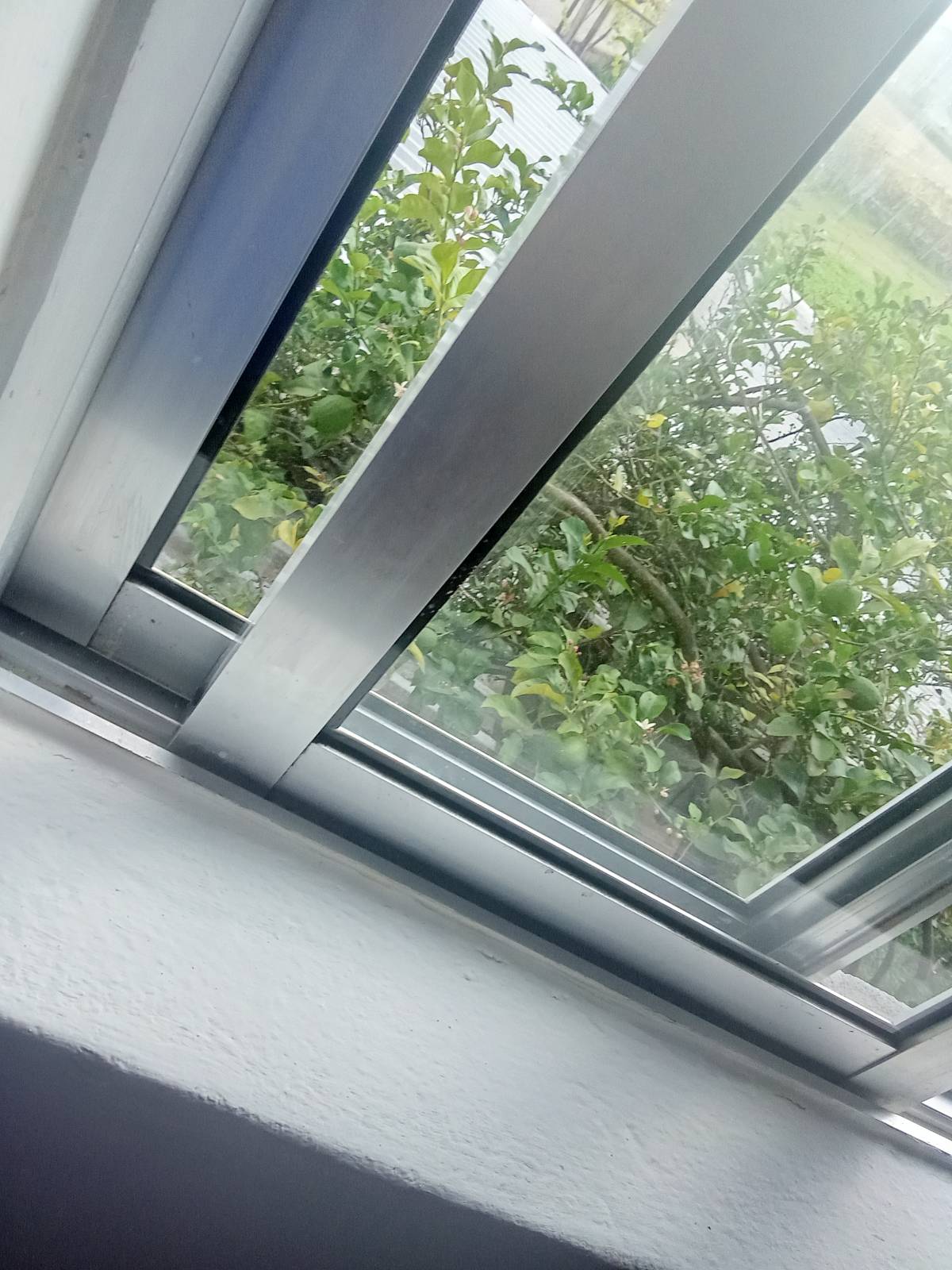 Cláudia Cristina - Lousada - Limpieza de persianas