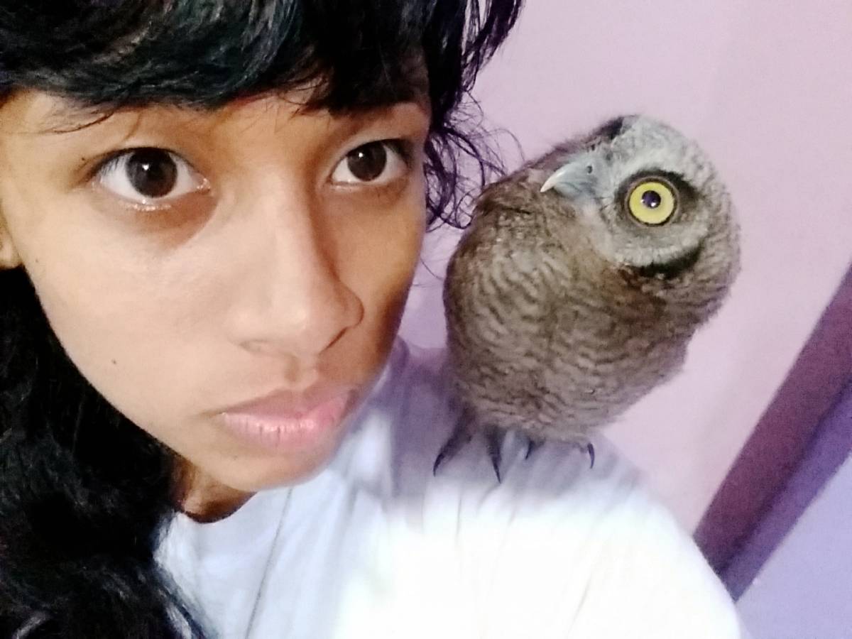 Pet Sitting -Walking e Explicações de espanhol - Odivelas - Biology Tutoring
